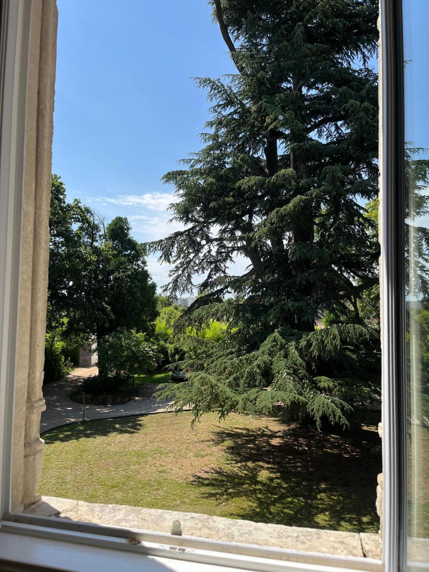 Le Clos Du Cedre Saint-Ouen  Екстериор снимка